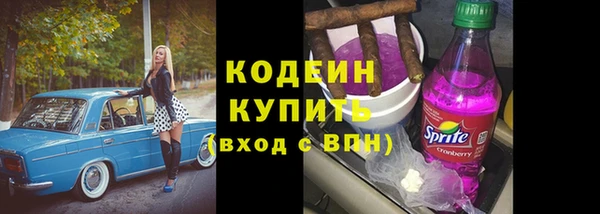 стафф Кулебаки