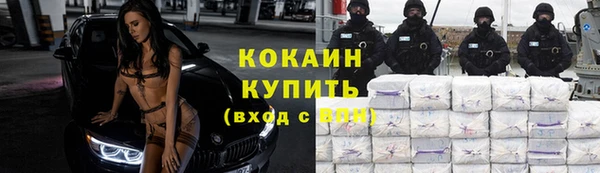 крисы Куйбышев