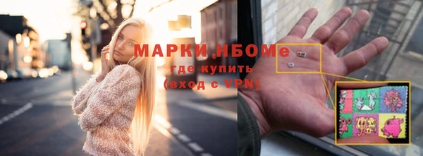 соль ск Кукмор