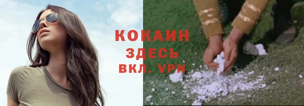стафф Кулебаки