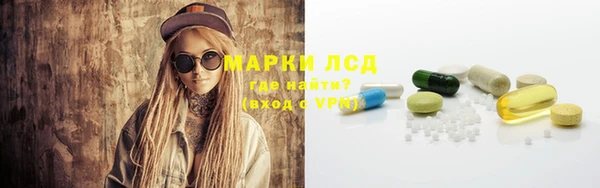 стафф Кулебаки