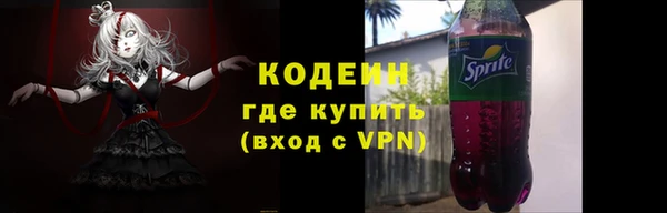 соль ск Кукмор
