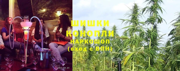 стафф Кулебаки