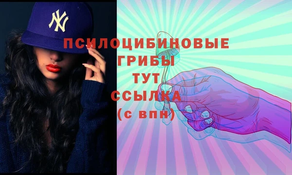 стафф Кулебаки