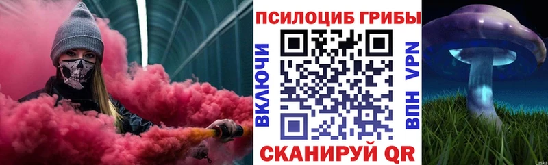 Псилоцибиновые грибы Psilocybe  МЕГА как зайти  Заринск  магазин продажи наркотиков 