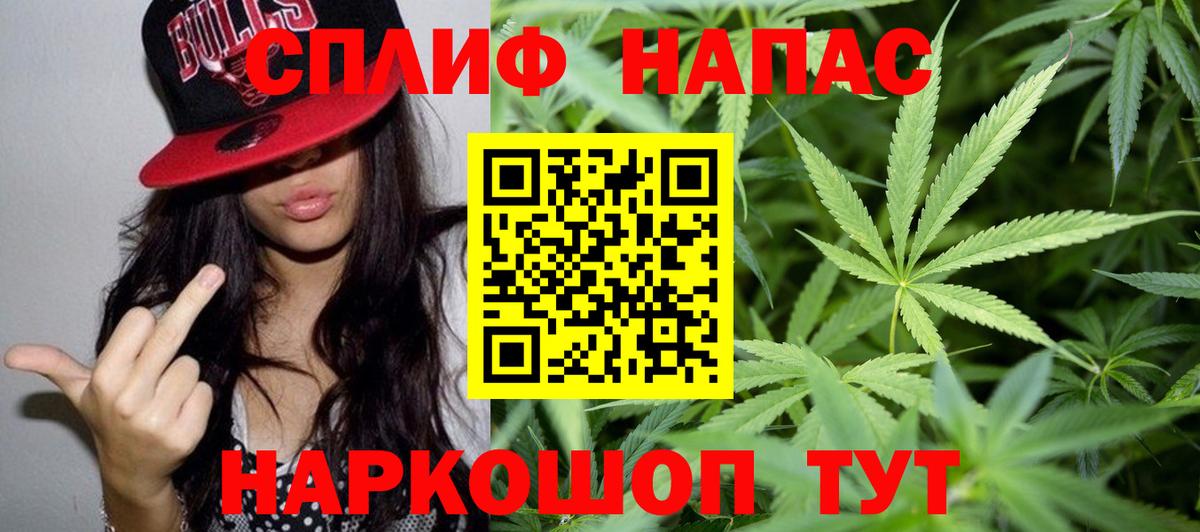 Конопля конопля  МАРИХУАНА гибрид  Заринск  МАРИХУАНА планчик 